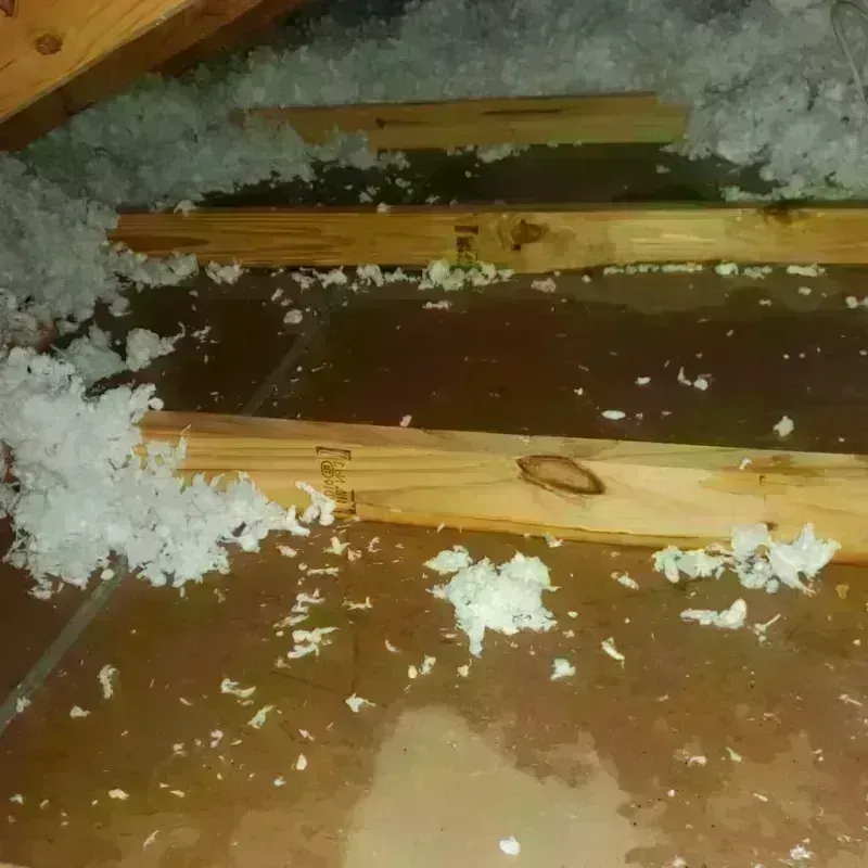 Attic Water Damage in Deposit, NY