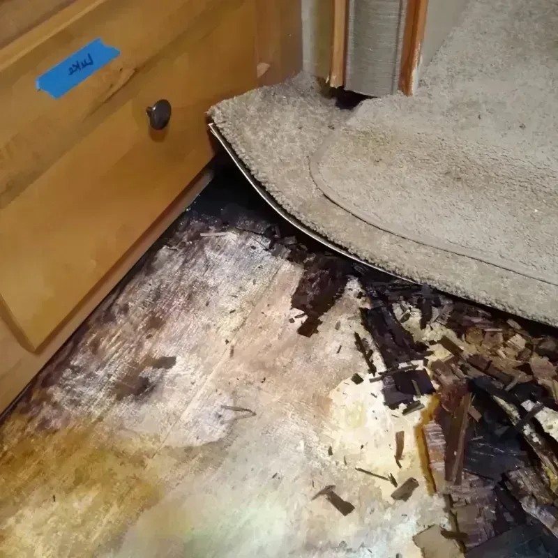 Wood Floor Water Damage in Deposit, NY